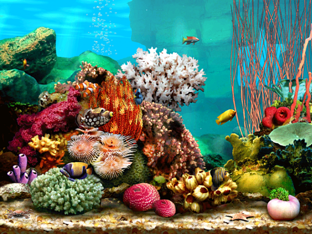 Living Marine Aquarium 2 pauseskærm