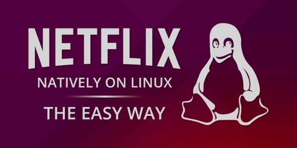 nyhedsbrev-netflix-on-linux-let-måde-Muo