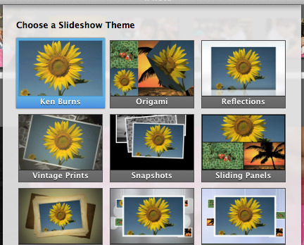 IPhoto-tema