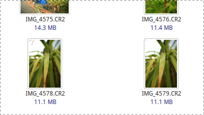 redigering af rå fotos linux