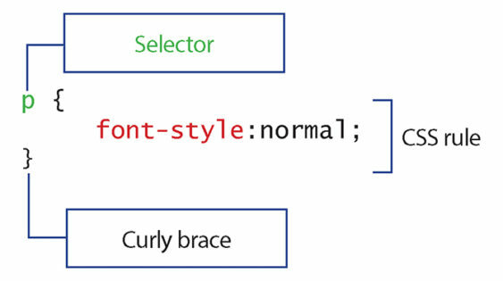 7 Programmeringsevner Alle webstedsudviklere skal kende css-regler 563x315