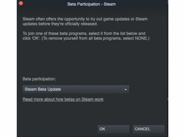 Et billede, der viser, hvordan du opdaterer din Steam-klient til Remote Play-adgang