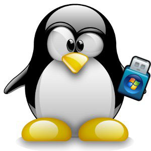 windows usb installationsdisk