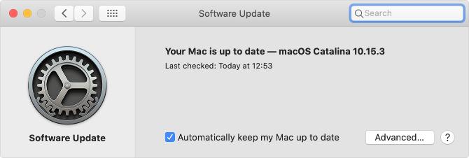 Softwareopdatering Systemindstillinger i macOS