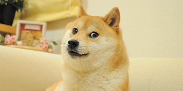 dogecoin-hvad-er-doge