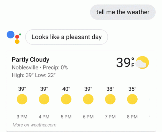 Google Assistant Vejr