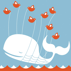 twitter over kapacitet