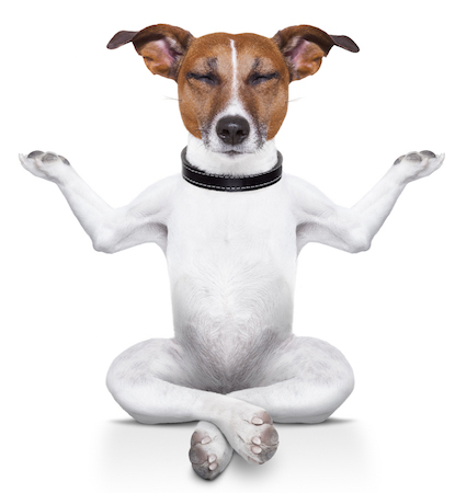 8 små tweaks for en øjeblikkelig minimalistisk browseroplevelse meditatingdog