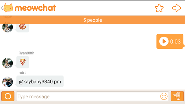 Meow-chat-anonym