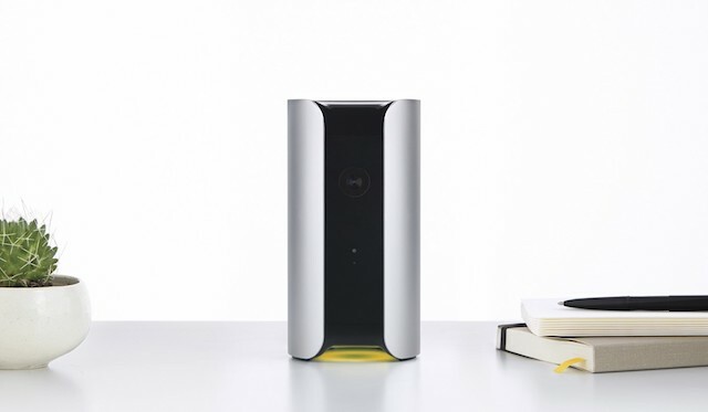 Canary
