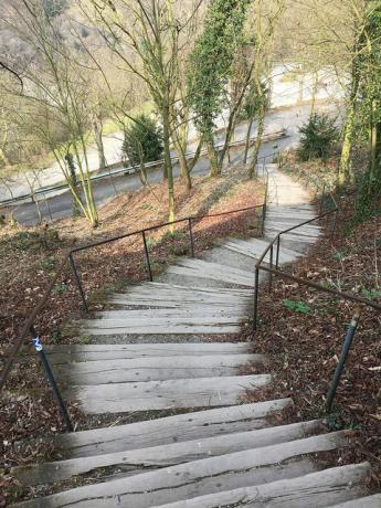 Fotografisk færdigheder Komposition Ledende linjer