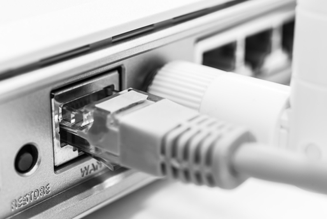 net-port