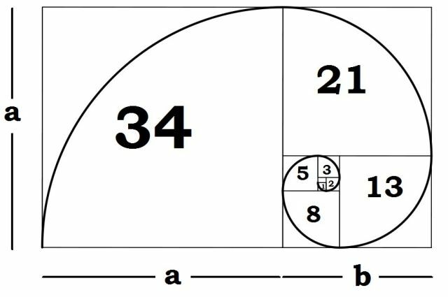 fibonacci-spiral-forklaring