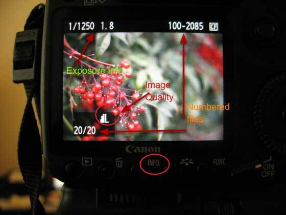 hvordan man bruger en billedafspilning på digitalkamera