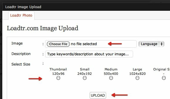 anmeldelser af image host