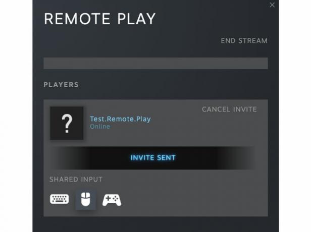 Et eksempel på Remote Plays evne til at kontrollere din vens interaktioner