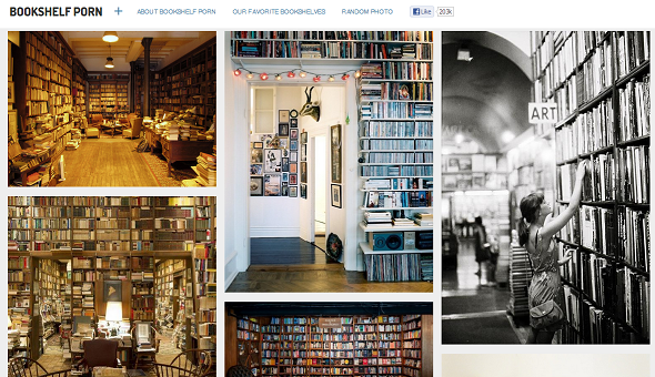 tumblr blogs at følge