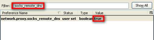 firefox-remote-dns-indstilling