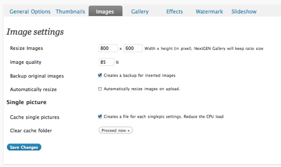 4 Must-Have-plugins, når du bruger WordPress som en portefølje NextGenResize