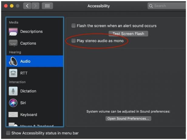 Mono Audio Instruktioner