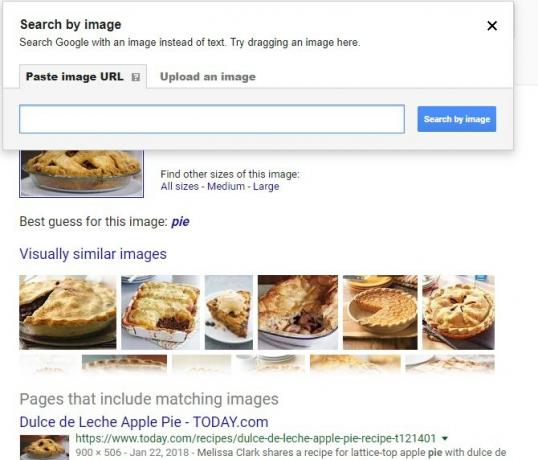 Google Reverse Image Search