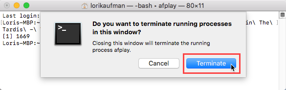Klik på Afslut for en proces i et terminalvindue på Mac
