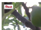 Pin It Hover-knap